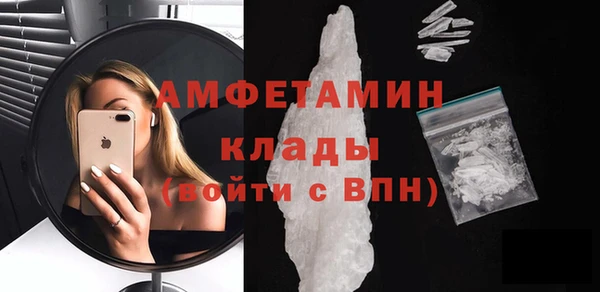 индика Володарск