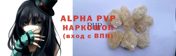 индика Володарск