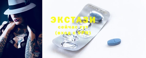 индика Володарск