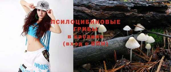 индика Верхнеуральск