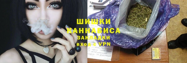 индика Володарск