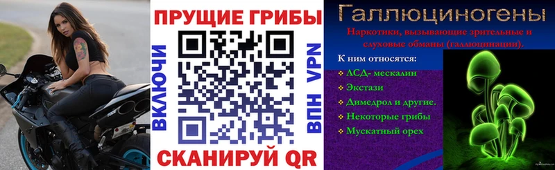 Купить закладки  Корсаков  Галлюциногенные грибы мухоморы 